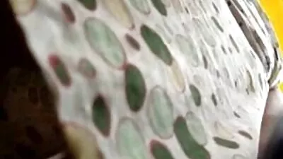 দ্বৈত মেয়ে ও এক বেঙ্গলি সেক্স কম ভিডিও পুরুষ