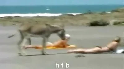 মজার ব্যাপার