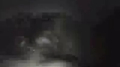 দুর্দশা অশ্বারোহণ রাখালী ডগী বাংল সেকস - স্টাইল